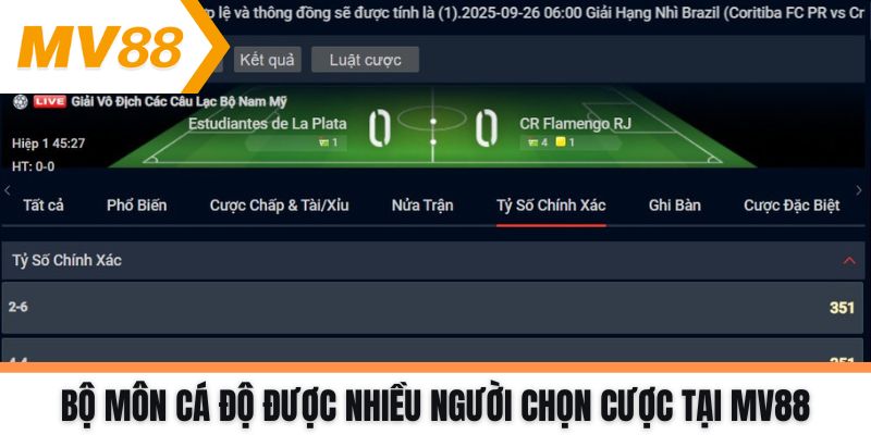 Bộ môn cá độ được nhiều người chọn cược tại MV88