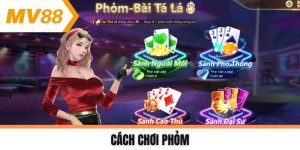 cách chơi Phỏm