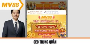 CEO Trung Quân