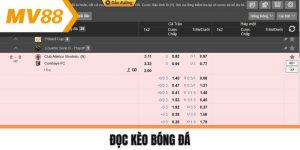 Đọc kèo bóng đá