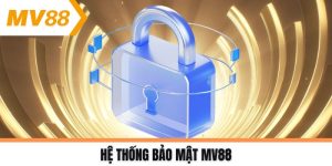 Hệ thống bảo mật MV88