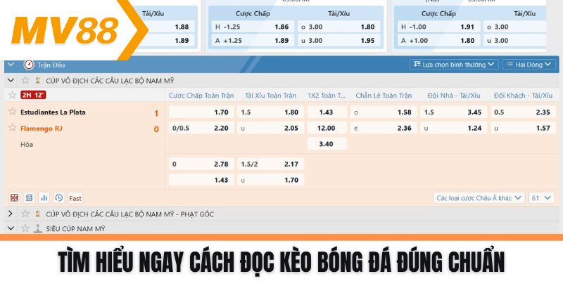 Tìm hiểu ngay cách đọc kèo bóng đá đúng chuẩn